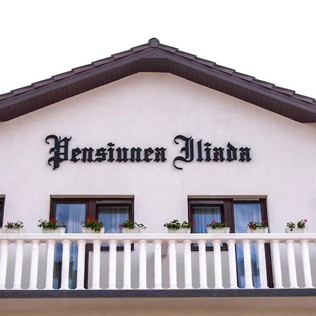 Гостевой дом Pensiunea Iliada